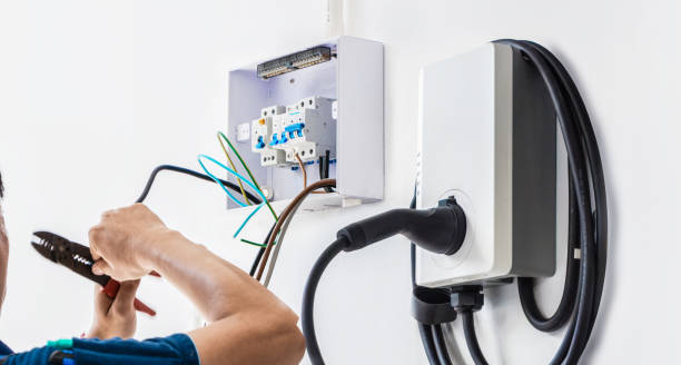 Best Electric Panel Repair  in Carl Junction, MO